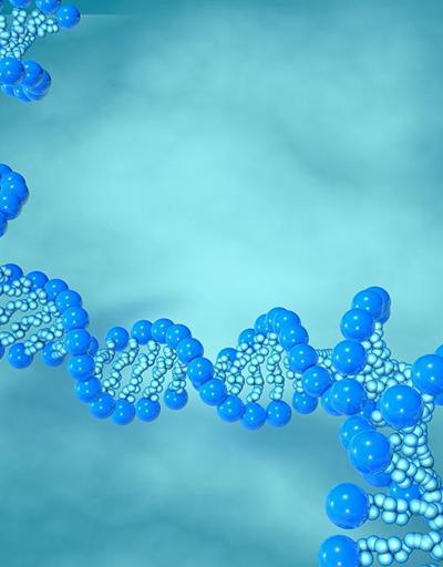 Avustralyalı bilim insanları DNAnın yeni bir yapısını keşfetti