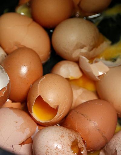 Zehirli yumurta krizi tırmanıyor Belçika Hollandayı suçladı