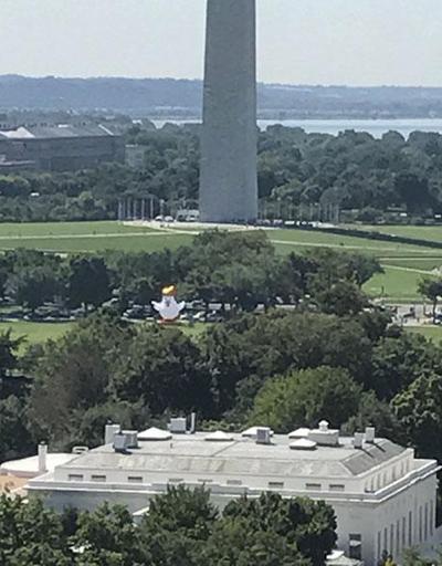 Beyaz Sarayın bahçesinden dev bir Trump tavuğu yükseldi