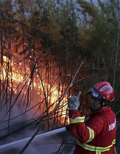 Portekizde yangınlar sürüyor