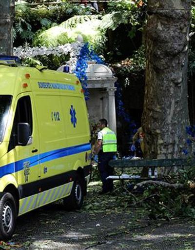 Portekiz’de ağaç devrildi: 12 ölü