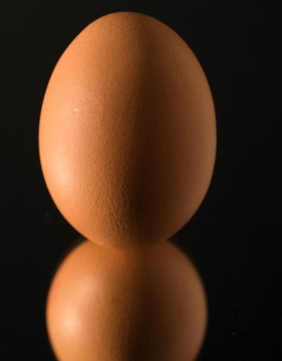 Bir ülkede daha zehirli yumurtaya rastlandı