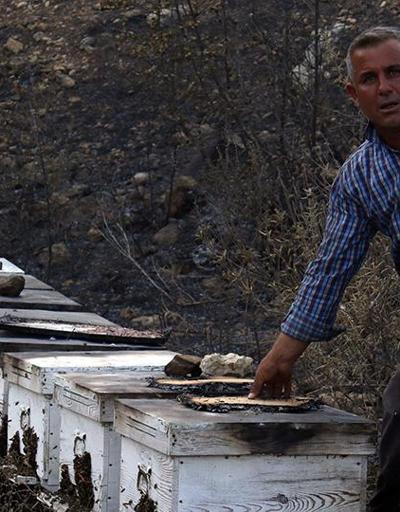 Antalyada yüzlerce arı kovanı kül oldu