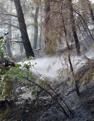Manisa Spil Dağında orman yangını