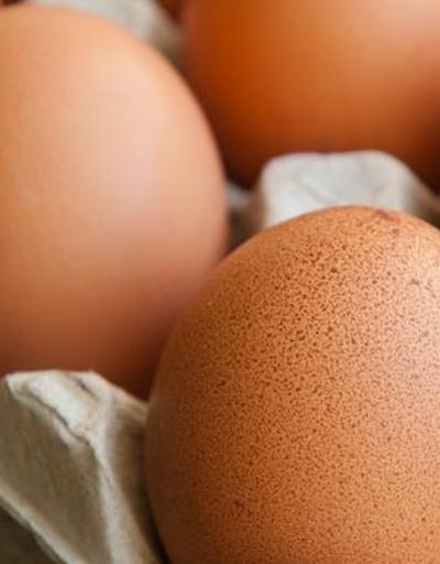 Eylül ayında yumurta üretimi azaldı