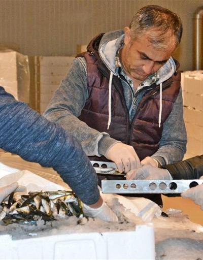 İstanbulda 21 ton balığa el konuldu