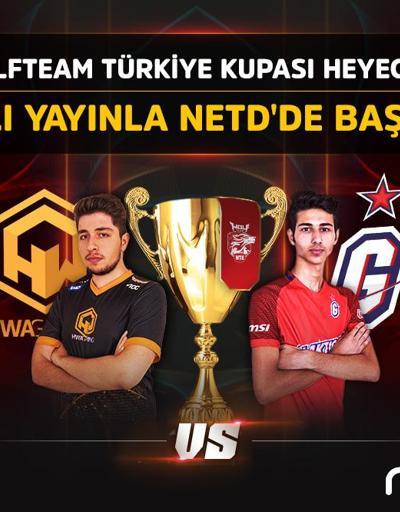 “Wolfteam Türkiye Kupası 2017” Büyük Final heyecanı NetD.com’da