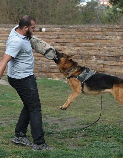 Sayaç okuyanlara köpek saldırısına karşı korunma eğitimi verildi