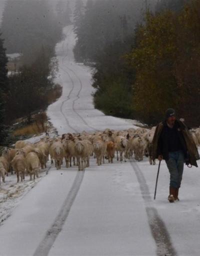 Uludağ’a kar yağınca koyunların zirve kampı erken bitti