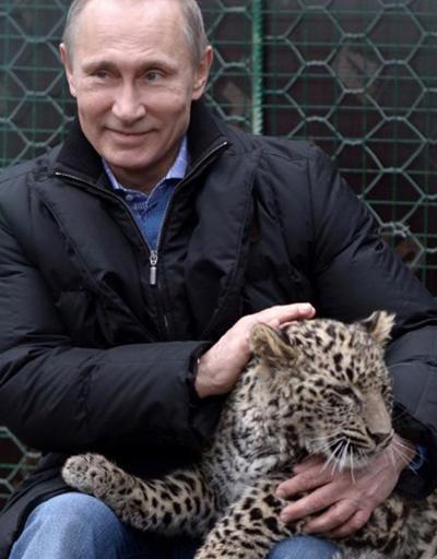 Putin’in leoparı Abhazya’da yakalandı