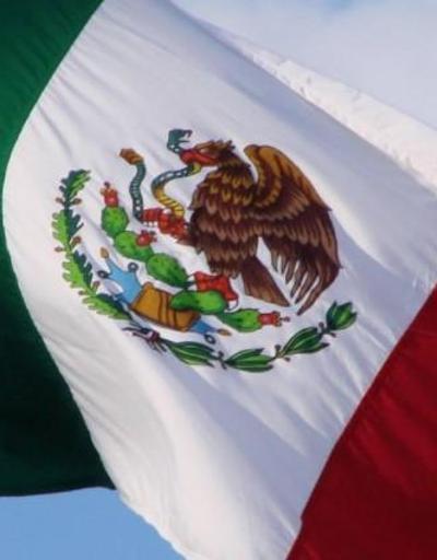 Meksikada şiddet olayları nedeniyle binlerce kişi yerinden oldu