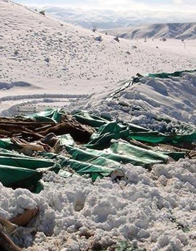 Bingölde kardan baraka çöktü: 20 koyun öldü
