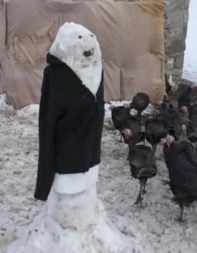 Hindileri tilkilerden korumak için çözümü kardan adamda buldu