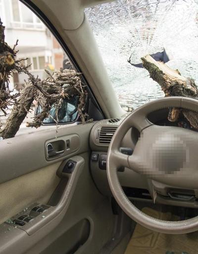 Ankarada korkunç olay... Düşen ağaç ön camdan girdi, şoför yaralandı