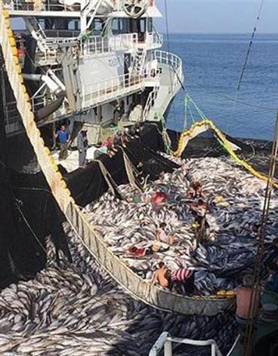 Balıkçılar Moritanyaya yöneldi