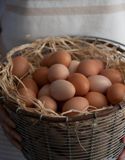 Sosyal medyaya damgasını vuran hikaye: Yumurta