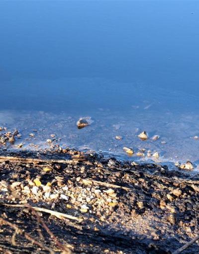 Sarımsaklı sahilinde ürküten manzara: Deniz kapkara
