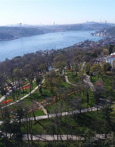 İstanbulda lale festivali başladı: Kent rengarenk oldu
