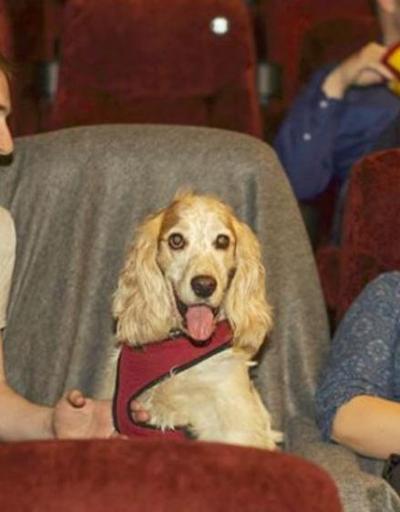 İngiltere’de köpeklere özel sinema salonları