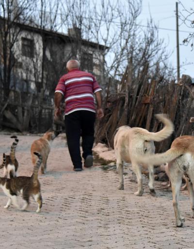 Emekli maaşıyla 25 kedi, 15 köpek besliyor