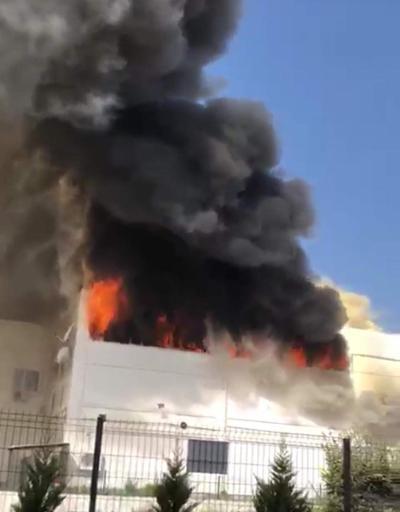 İzmirdeki fabrika alev alev yandı