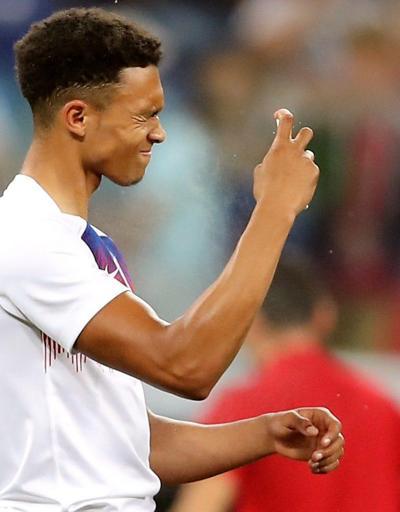 Tunus - İngiltere maçını sinekler bastı