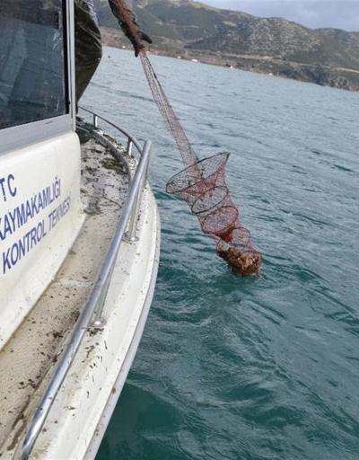 Eğirdir Gölü’nde kaçak avlanan 78 ton kerevitin yarısı canlı kurtarıldı