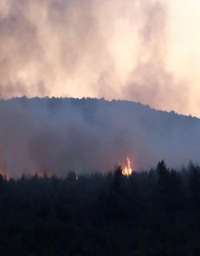 Aydos Ormanlarında çıkan yangından ilk görüntüler