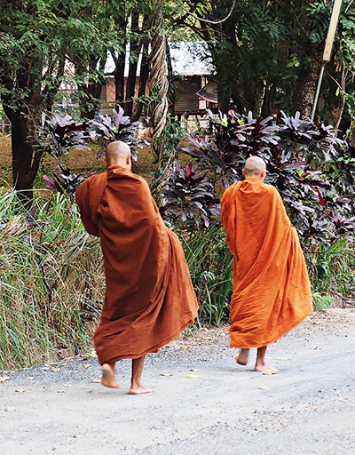 Budist rahibe ilginç suçlama