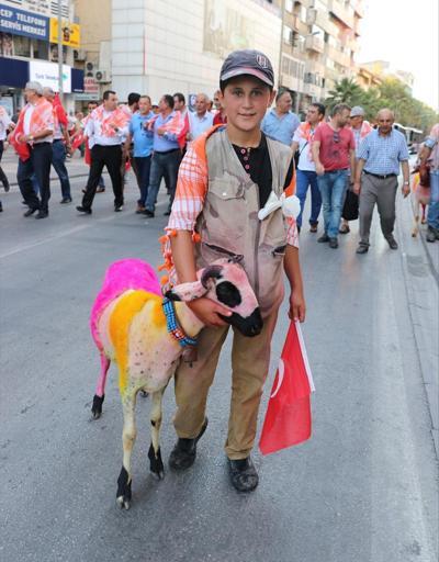 İspanya boğa güreşlerinin alternatifi: Sudan Koyun Geçirme