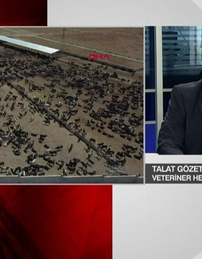 Talat Gözetten Ankaradaki şarbon alarmına dair açıklama
