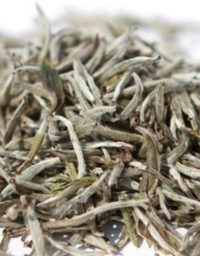 Beyaz çay nasıl demlenir Beyaz çay nedir Beyaz çayın faydaları