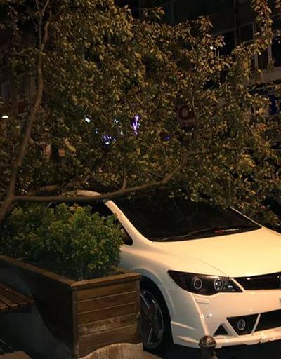 İstanbulda rüzgar ağaçları devirdi