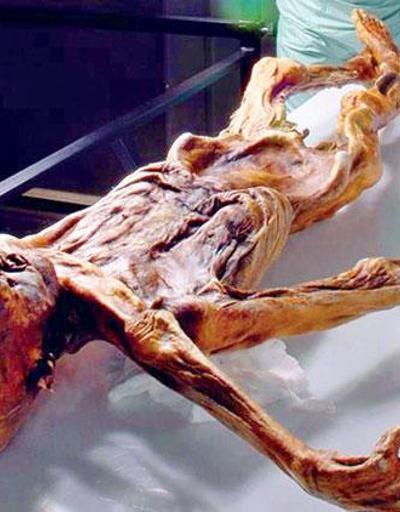 Buz Adam Ötzideki mürekkep izleri dövme çıktı