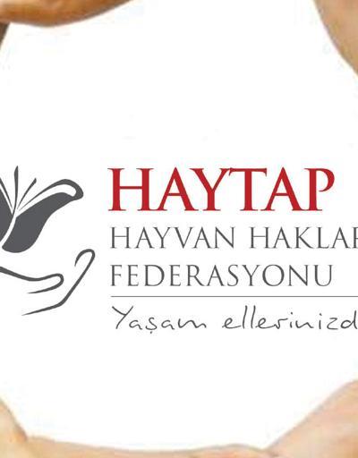 HAYTAP Başkanı Şenpolat: 4 Ekim’i kutlamıyoruz”