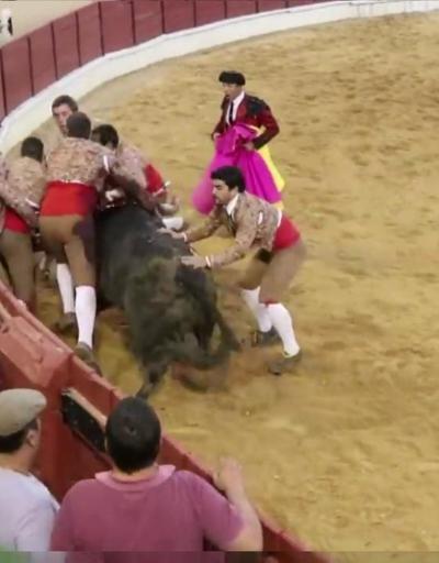 Boğanın öfkesi 6 matadoru birden devirdi