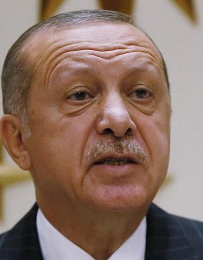 Erdoğandan Hayvan Hakları Yasası tepkisi: Yasa hâlâ neyi bekliyor