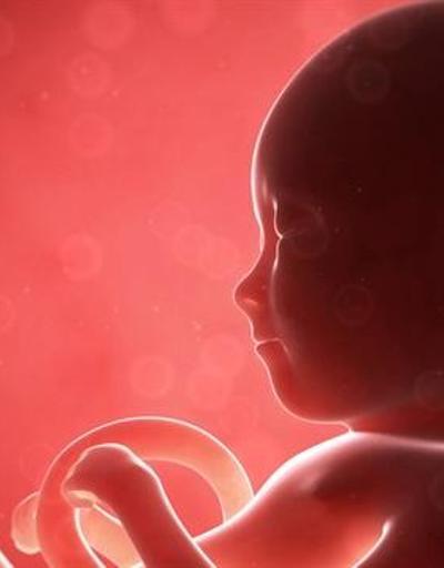 Tüp bebek ile oluşan gebeliklerde düşük riski yüksek midir