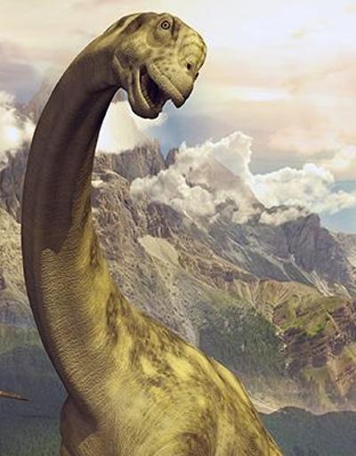 Yeni bir dinozor türüne ait iskeletler bulundu