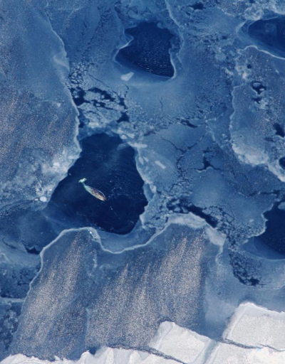 Buzul örtüsünün erimesi tonlarca metan gazını açığa çıkarıyor