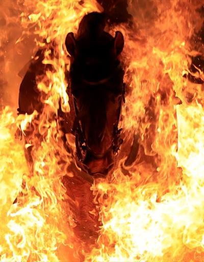 İspanyada tepki çeken gelenek: Atlar ateş üstünde yürütüldü
