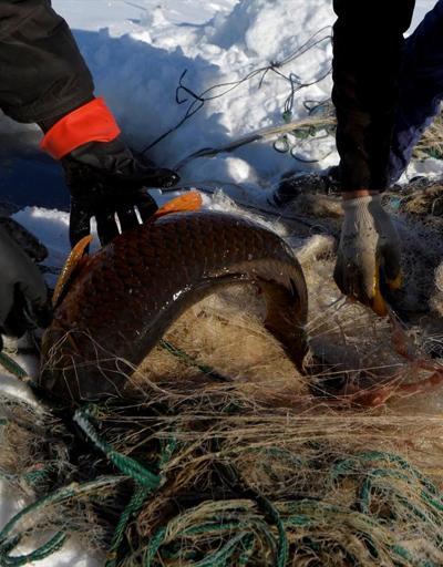Eskimo usulü avcılıkta sezonun en büyük balığını yakaladı