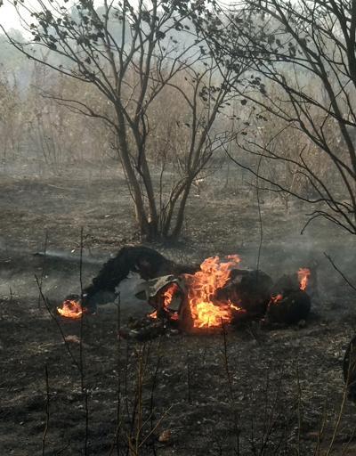 Hindistanda askeri uçak düştü