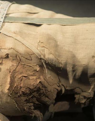 Mısırda 40 mumya bulundu