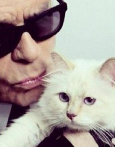 Lagerfeldin 200 milyon doları kedisine kalabilir
