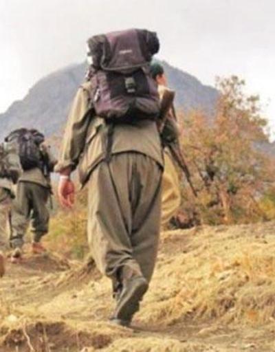 Şırnakta 4 PKKlı terörist teslim oldu