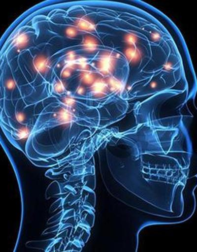 İnsan beyninde manyetik pusula keşfedildi