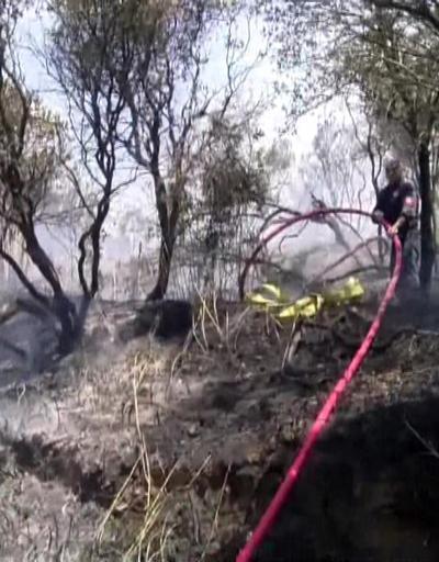 Son dakika İstanbulda ormanlık alanda korkutan  yangın