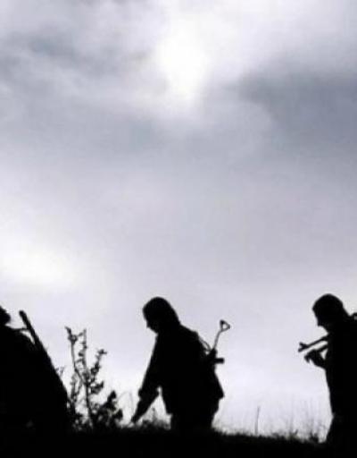 Terör örgütü PKK Telaferi ele geçirmek istiyor