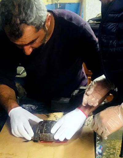 Kabuğu kırık kaplumbağaya kaportacıda operasyon
